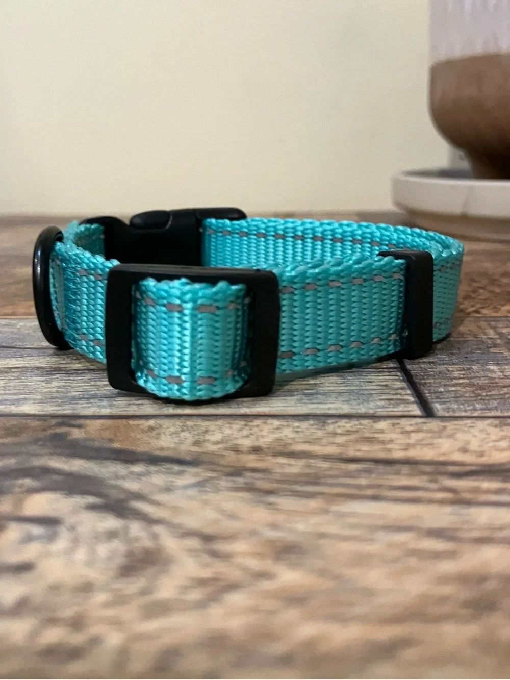 CollarDirect Adjustable Reflective Nylon Dog Collar, Mint Green, X-Small